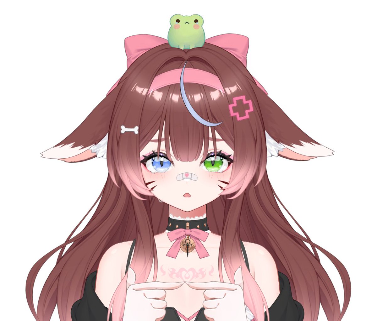 Feli 🐙🐾 tweet media