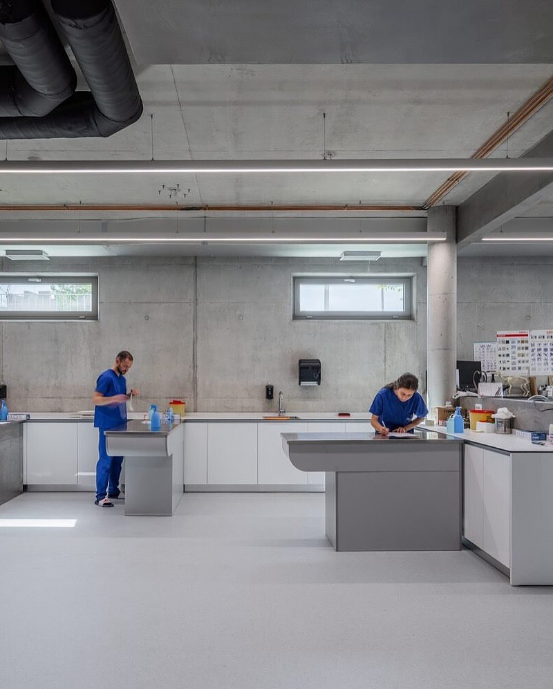 Vet Hospital in Tirana, Albania by Davide Macullo Architects redefines animal healthcare through sculptural concrete forms and fluid geometries that evoke calm and comfort.

🧠 Join PAACADEMY workshops to learn AI in architecture, parametric design, and computational workflows: