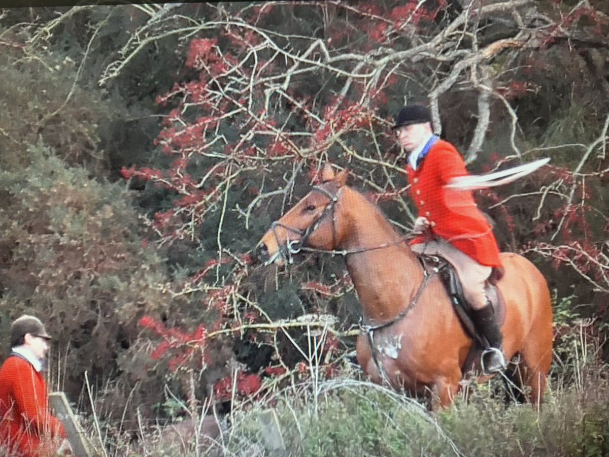 North East Hunt Monitors tweet media