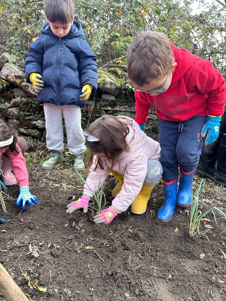 BajoCra's tweet photo. Disfrutamos en nuestro huerto plantando cebollinos y lechugas. 😍 https://t.co/TbrLQBNXb7