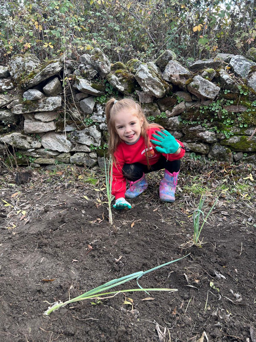 BajoCra's tweet photo. Disfrutamos en nuestro huerto plantando cebollinos y lechugas. 😍 https://t.co/TbrLQBNXb7