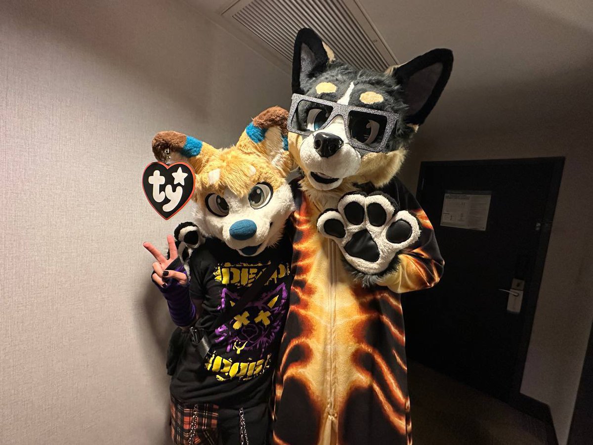 Please tell me I’m not the only one that has been having dreams lately about being at a furcon

Last nights was about me being at AnthroExpo on a weekend months before it actually happened, like a test conAnd I got to reunite with <a href="/ZraigoWolfy/">Misfit</a> and hangout with a local bestie 
1/2