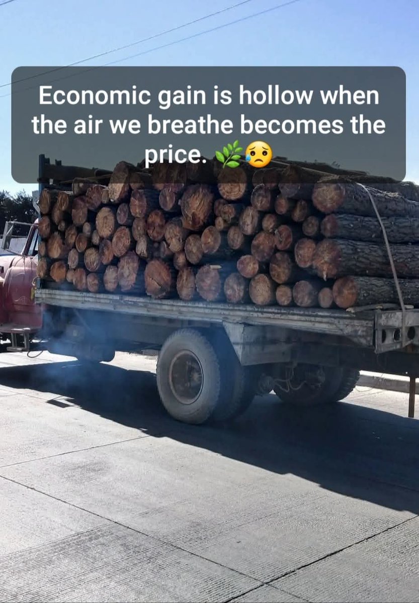 DagorettiG55803's tweet photo. We measure progress in profits, while nature counts its losses 

#LetsGrowTrees https://t.co/m4VLCcPEse