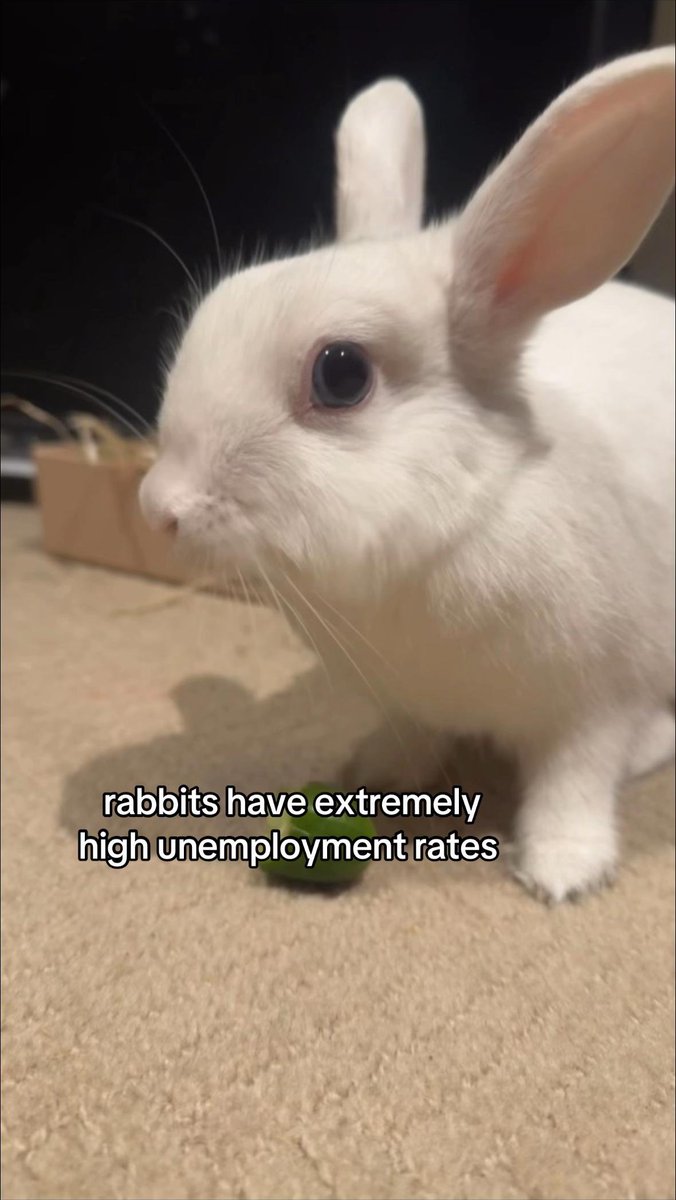 Gemütlich (@gemtlich2) on Twitter photo 