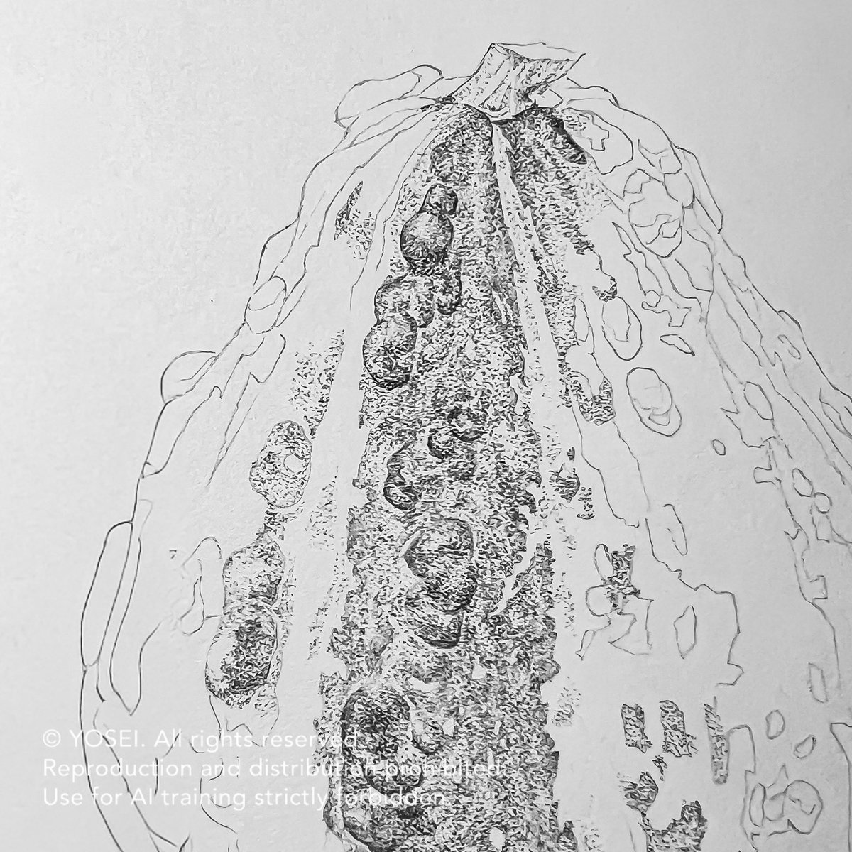 久しぶりの投稿です。
来年出す本の構想を練っています
今年は仕事で海外に行けたので、その時のスケッチをまとめる予定です✈️

本とは別に、ゆっくり少しずつ観察する練習をしています。
点描は少しずつ積み上がる感じが楽しい。