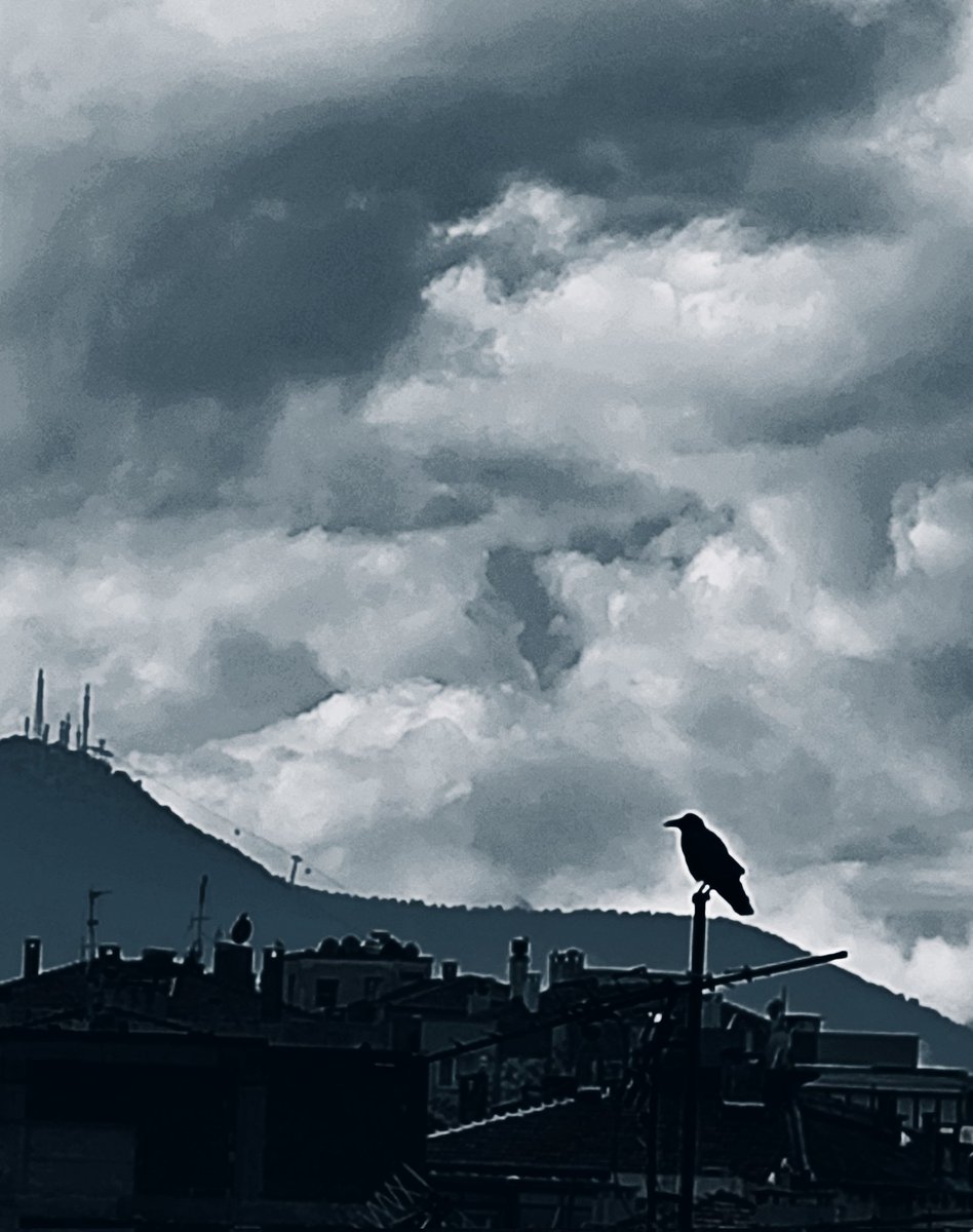 artık aşk.../

aşk artık bildiğim biri değil
giderek koyulaşan gölge... 
artık aşk ipten düşen cambaz
renkli ruhlar panayırında... 

aşk artık tanıdığım biri değil
sağanak sözü verip 
rüzgara kapılıp giden bulut... 
artık aşk gide gele
bir yorgun; panayırda... 

aşk artık kara