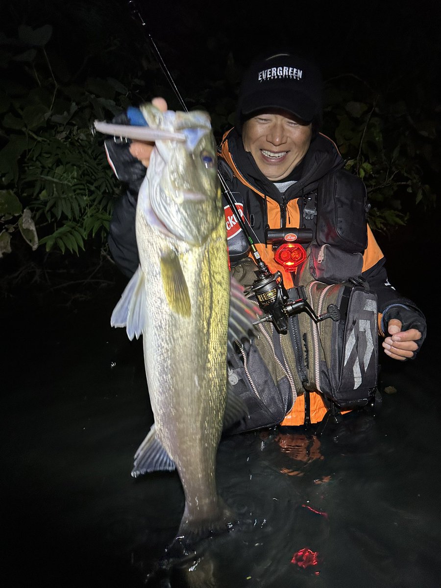 エバーグリーン【ソルト公式】 on X