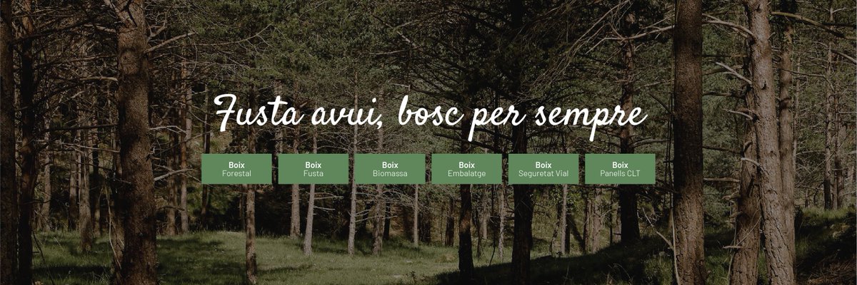 A Grup Boix gestionem el territori, cuidem boscos. 🌲

La diferència recau en una gestió: sostenible, certificada i regeneradora.

#Bioeconomia #Forestal #Sostenibilitat #FustaAvuiBoscPerSempre