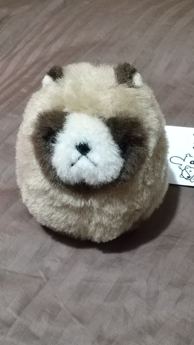 ばんばぱえりあ＠新著『ことりのぬいぐるみ』 (@banmof) / Posts / X