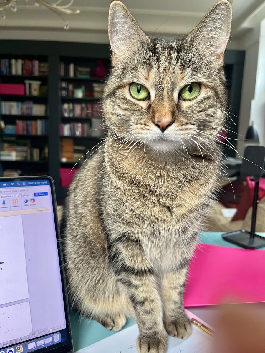 PickliciousF's tweet photo. Am I being helpful, mummy? What are you writing? When’s lunch? https://t.co/x81BBA2Cee