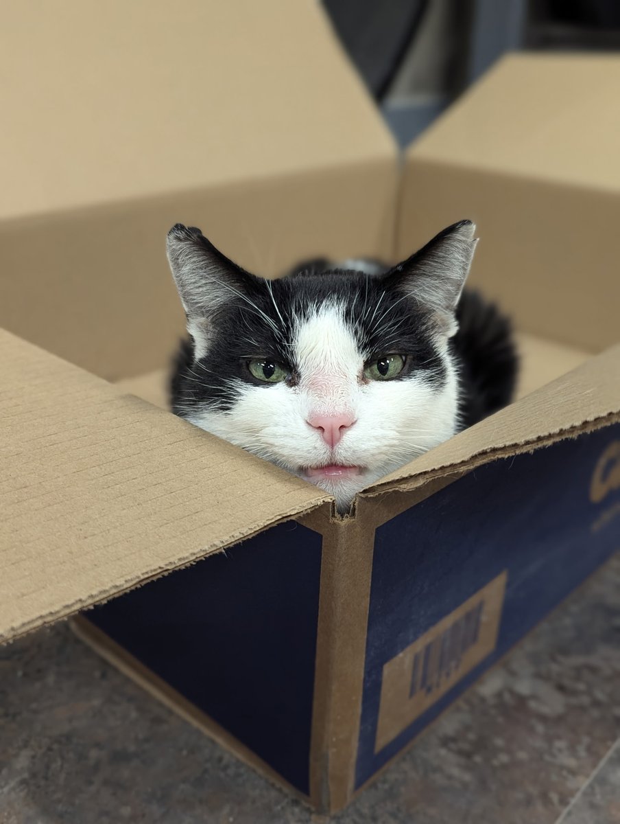 Crash's Landing tweet media