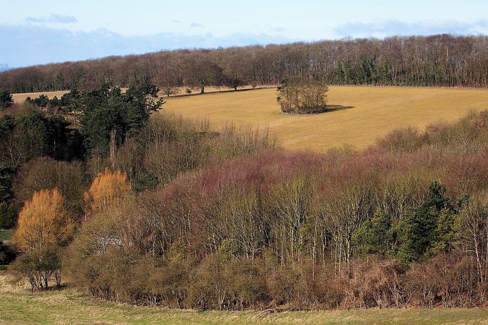 CXCSltd's tweet image. 🌳HLS payments start December 2025! 

Find out how the new rates affect your farm &amp;amp; how to calculate them 👇 cxcs.co.uk/agriculture/bl…

#HLS #Farming #CXCS