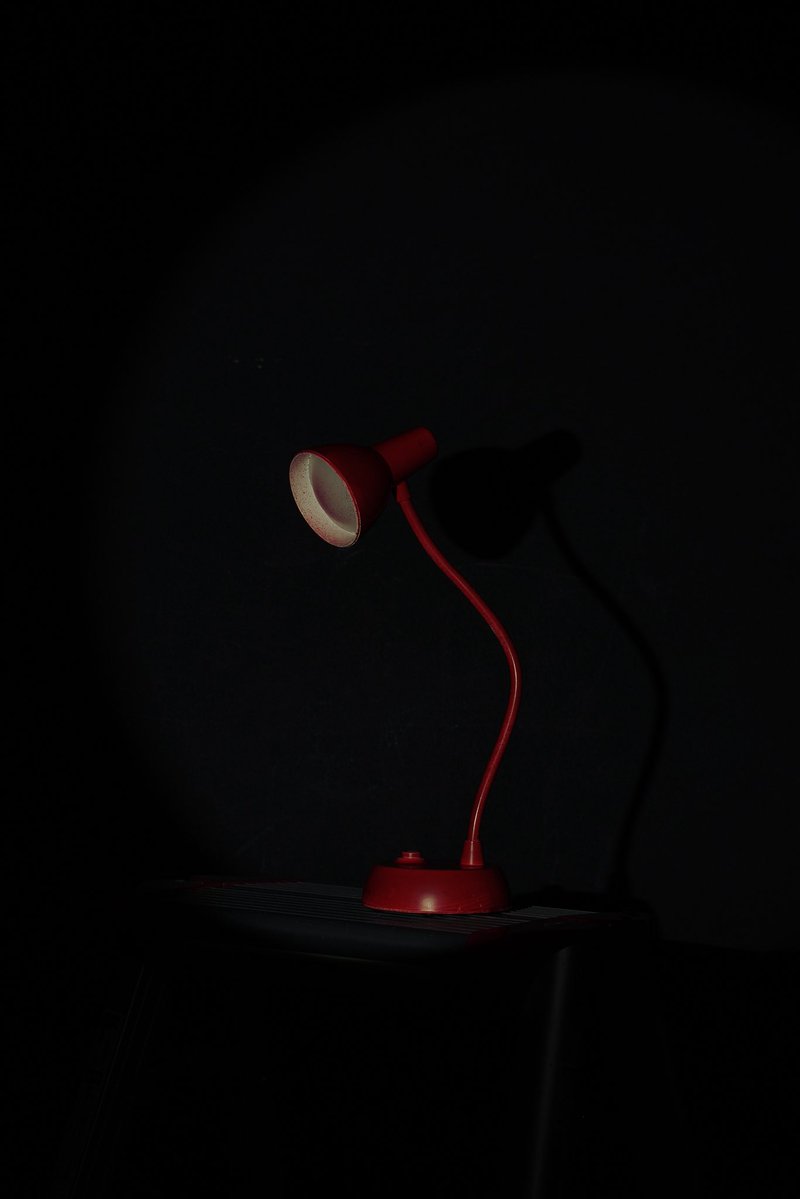 ゴーストトリック
GHOST TRICK

「それは死から始まる一夜の追跡劇」