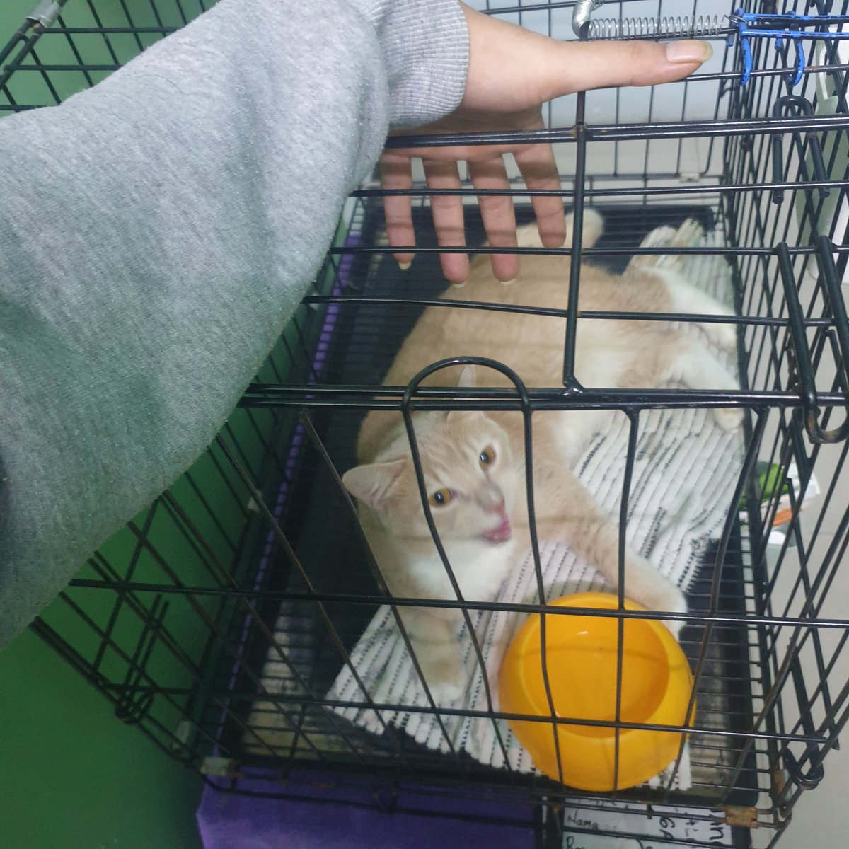 マルーンR (@maroonr19) on Twitter photo 