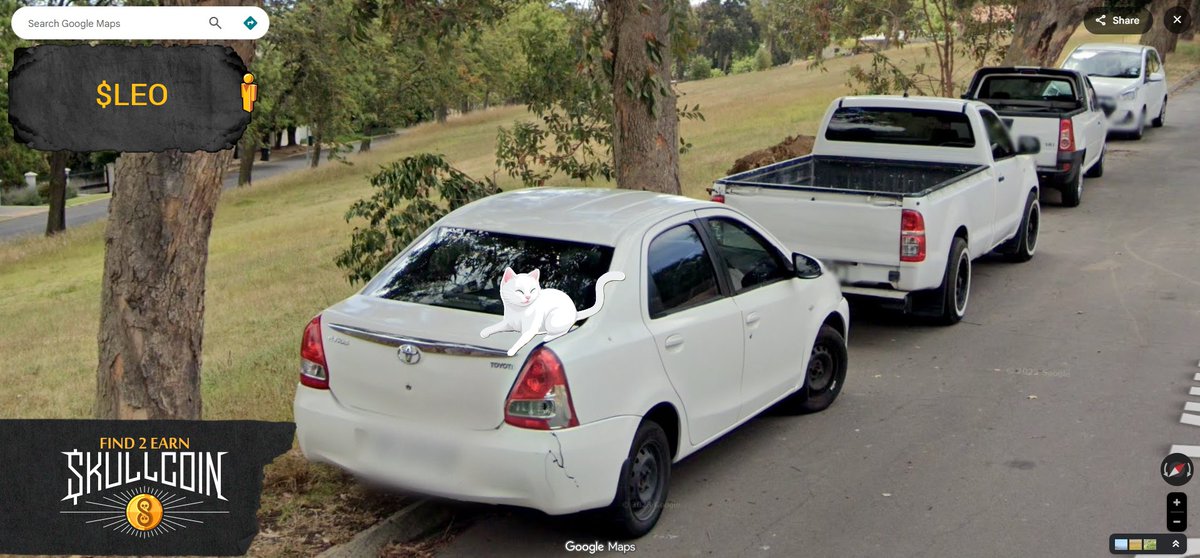 Skullcoin Studio tweet media