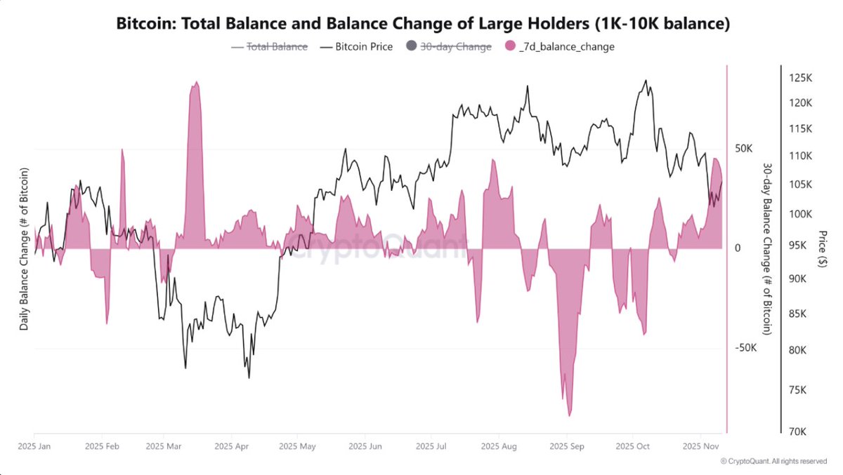cryptoquant_com's tweet image. The Second Largest Whale Accumulation of 2025

“In the last week, whales accumulated more than 45,000 BTC, marking the second-largest weekly accumulation process in these wallets.” – By @caueconomy