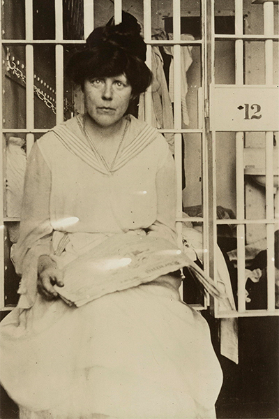 Catt Museum tweet media