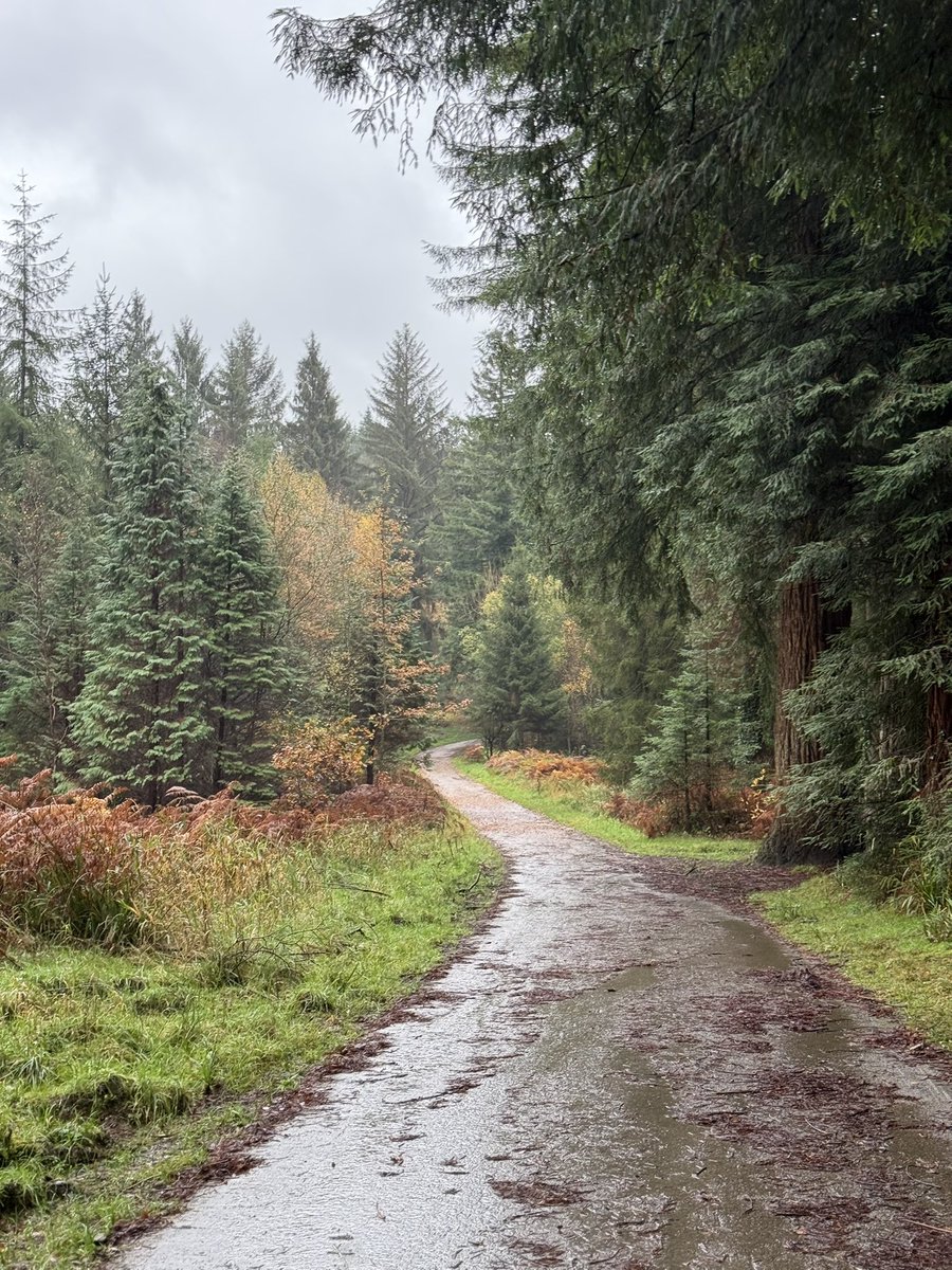 shiner_sam tweet media