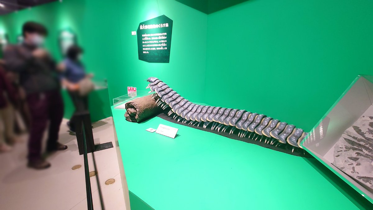 絶滅してて良かったな…と一番思ったやつ

ぶっちゃけ標本よりこういう再現模型みたいのが素人目には分かりやすい