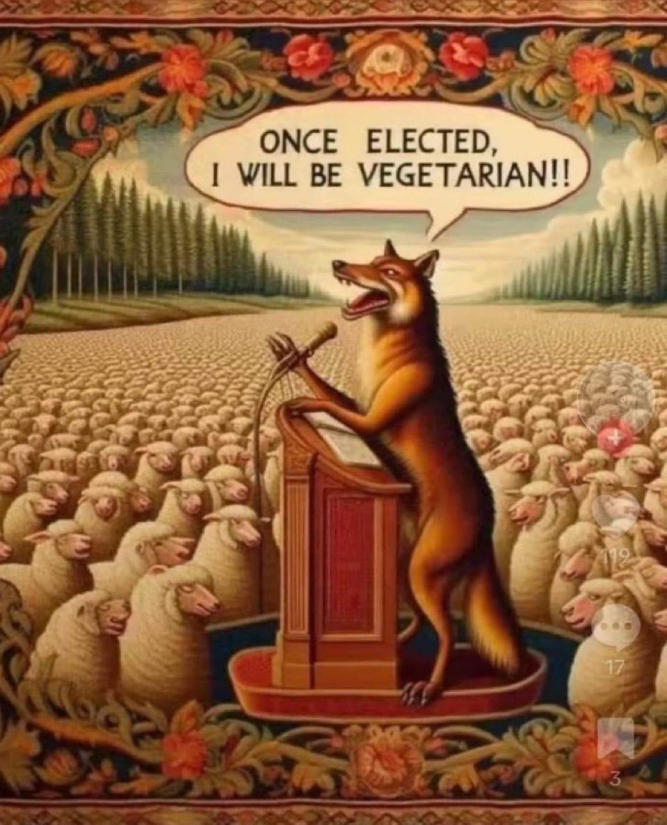 joe kirchman (@joekirchman) on Twitter photo 