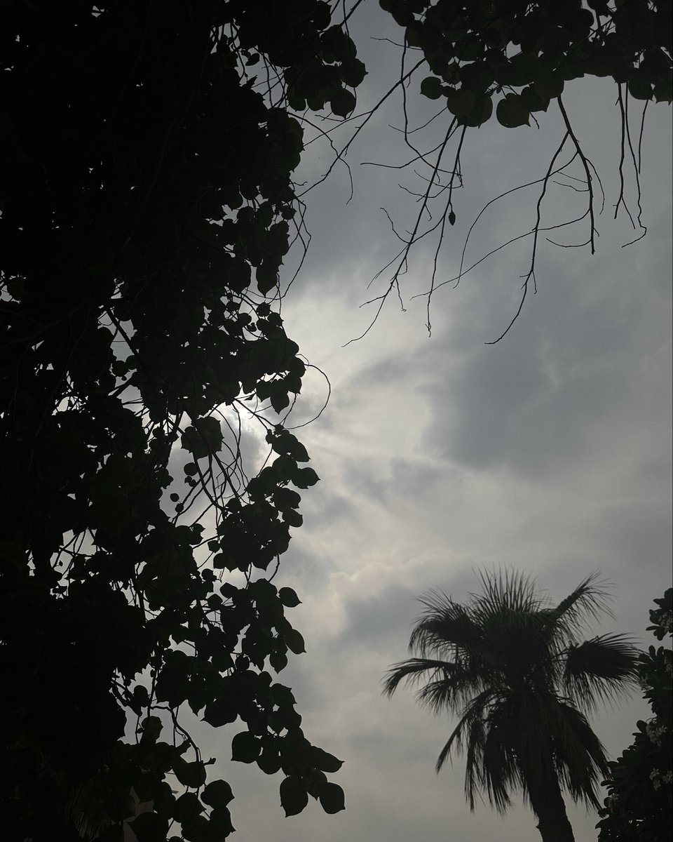 بَتول tweet media