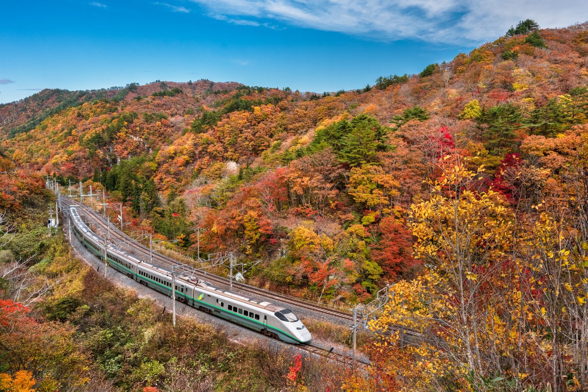 itsukibut's tweet photo. サイト更新しました

つばさ133号　銀つば　板谷峠紅葉

#つばさつなぐ

https://t.co/m4x6xgwJkX https://t.co/aUdSzBnEw5
