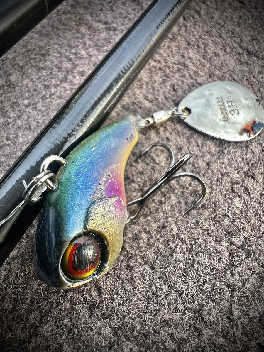 水野 浩聡 (@Hiroaki__Mizuno) / Posts / X