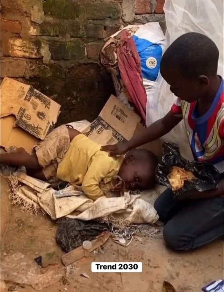 🛑السودان لا بواكي لها ولا اعلام يُسلط الضوء على مأساتها, ولا احد يهتم لأمرها وكأن من فيها ليسوا بشرا مثلنا, تحدثوا عنهم. يااا اصحاب الضمائر الحية..... 
#أنقذوا_الفاشر