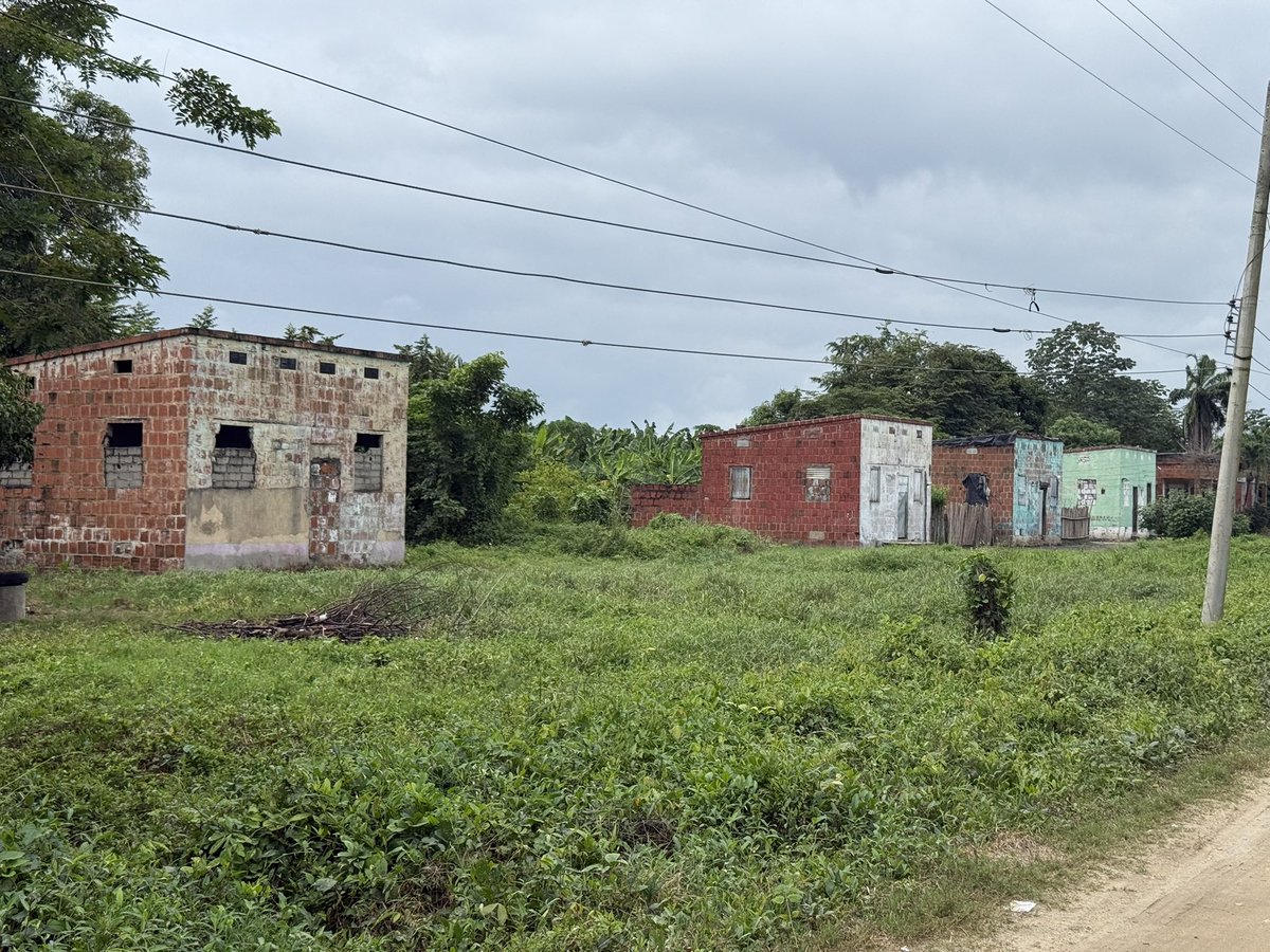 Diego Rosselli tweet media