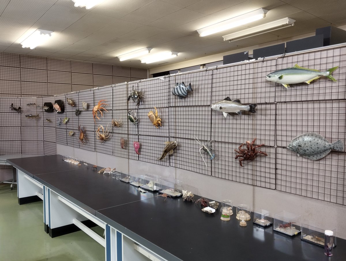 ふたごむしのぞみ (@onegaitarou) / Posts / X