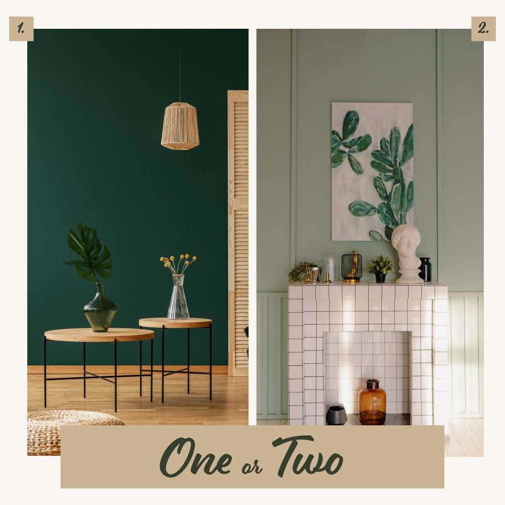 joonbugs's tweet image. Are you a fan of dark greens, or do you prefer light greens to give your space a modern feel? #ThisOrThat