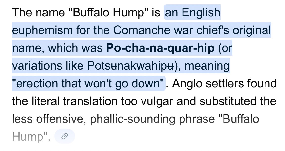 AnemoiaAmerica's tweet image. Just found out that Comanche Chief Buffalo Hump’s real name translates to “erection that won’t go down”. Powerful.