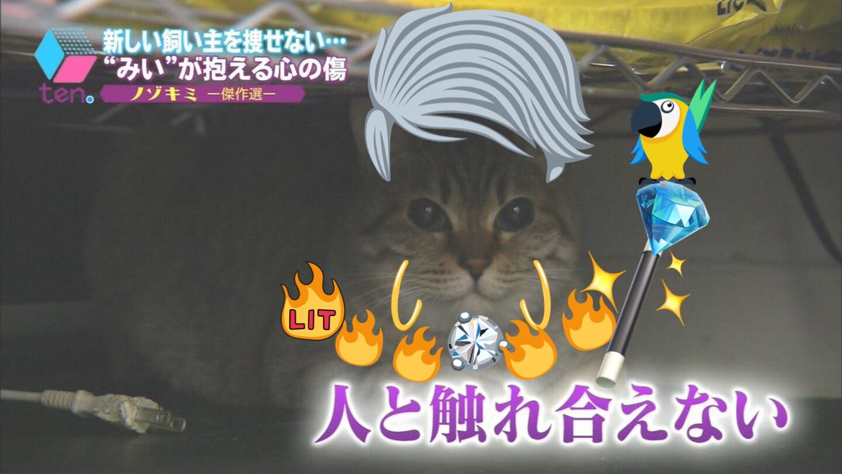 【でもなんか大丈夫そう】