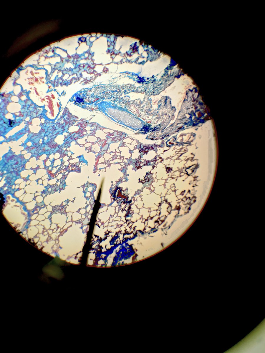 gioulisum's tweet image. This reminds me of something
#hexcore #arcane