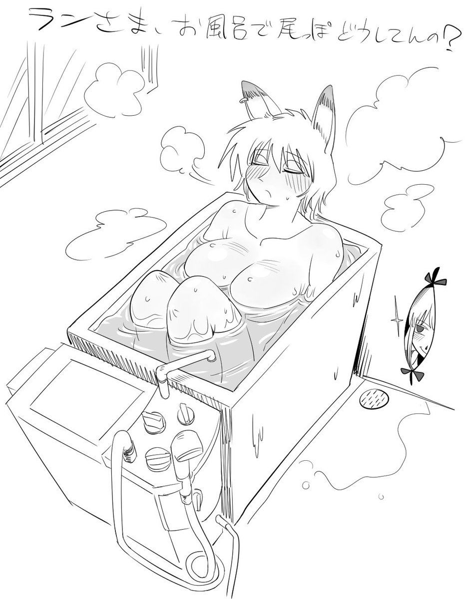 この風呂が昔なんとなく嫌いでした。バランス釜と言うらしいです