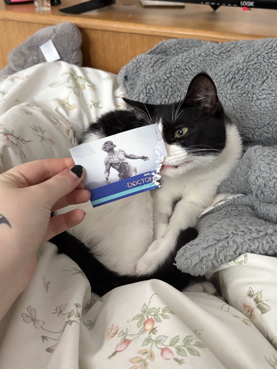 helloobenjamin's tweet image. i think she’s officially destroyed this card 
pibble is such a hater