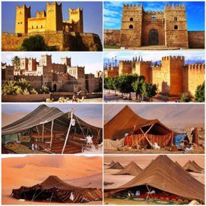 Mouna Naceri tweet media