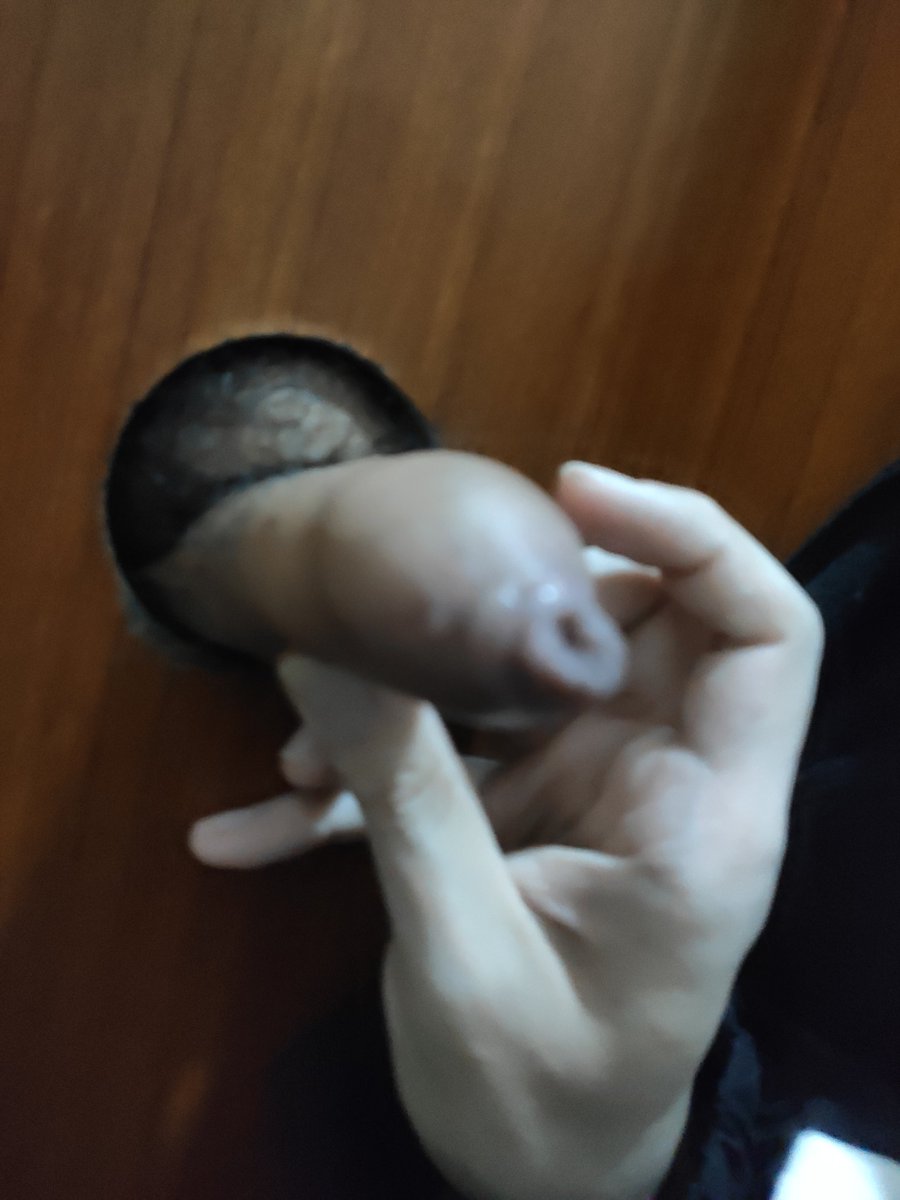 MaSirkff's tweet photo. 老存货
吃了 喜熊喜的 https://t.co/1a1TlR9sxJ