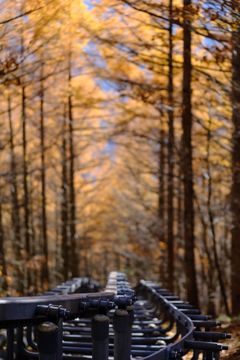 とをる tweet media