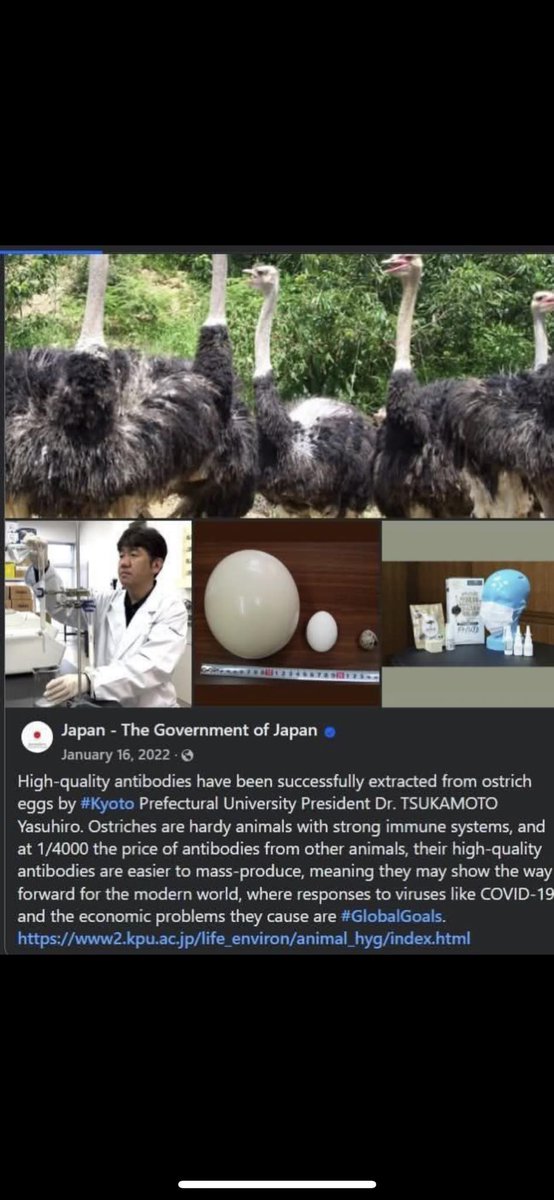 <a href="/iamcanadian51/">old stock Canadian 🇨🇦 🇨🇦</a>