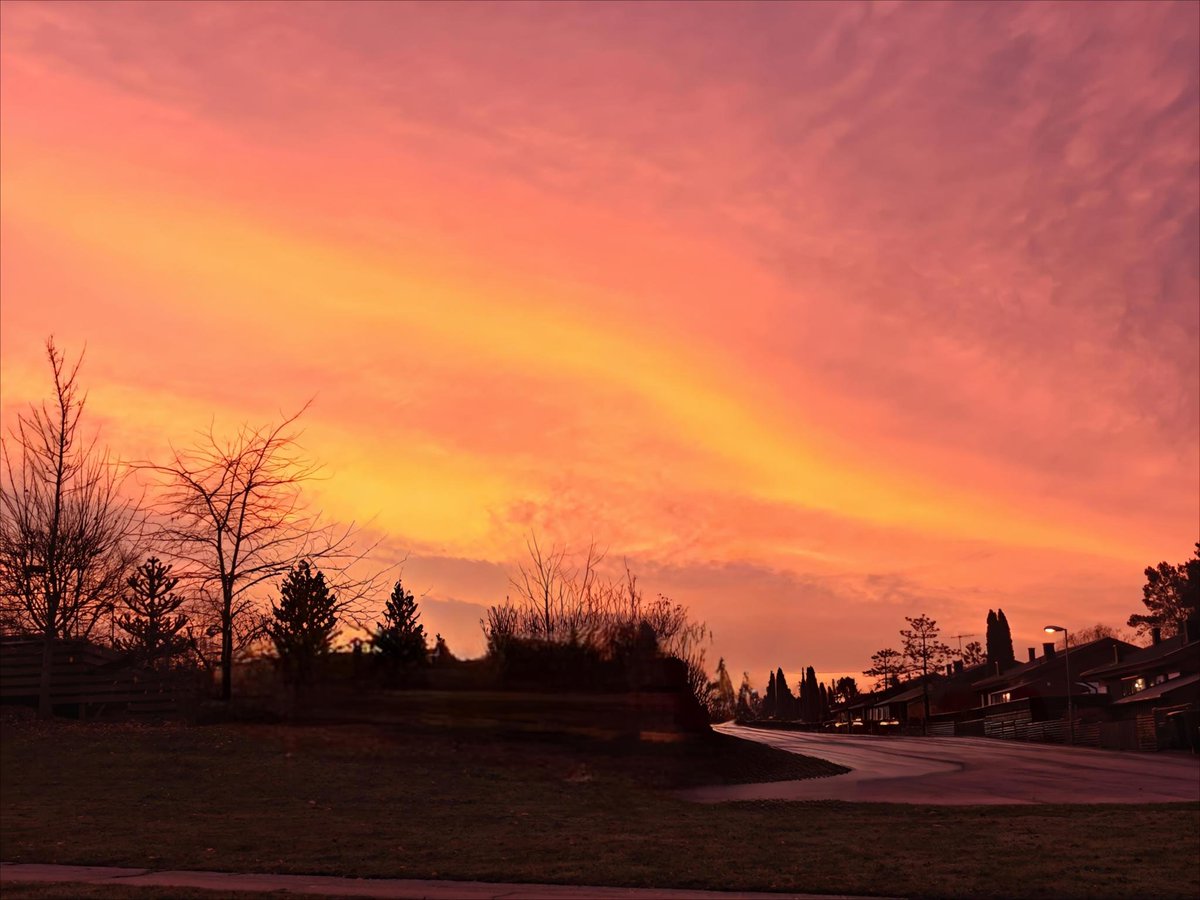 _Frodda's tweet image. Morgonpromenad