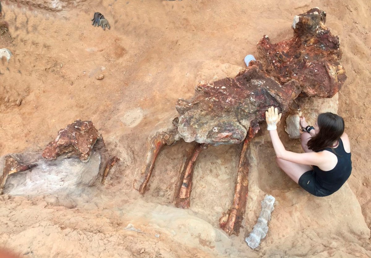 Instituto Dom Luiz tweet media