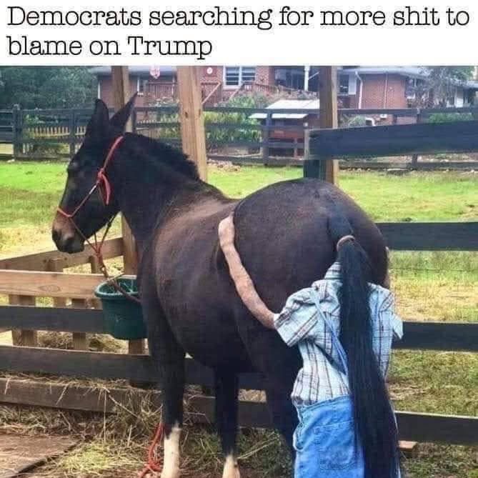 cloud1a7's tweet image. Yup