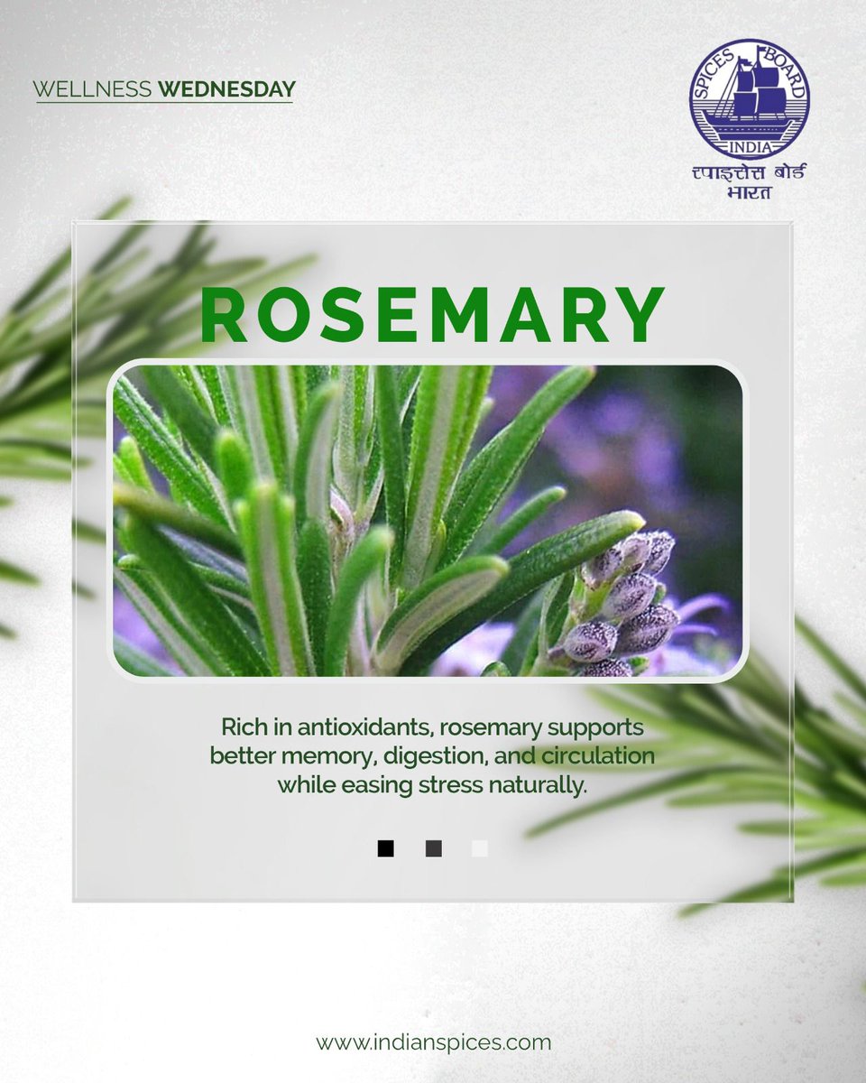 A fragrant herb with healing roots — rosemary's therapeutic power