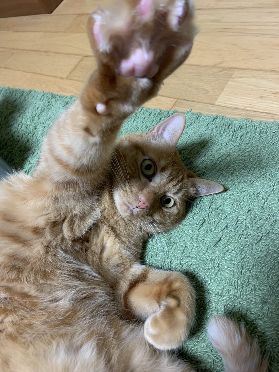 のりちゃん (@noritsubo412766) / Posts / X