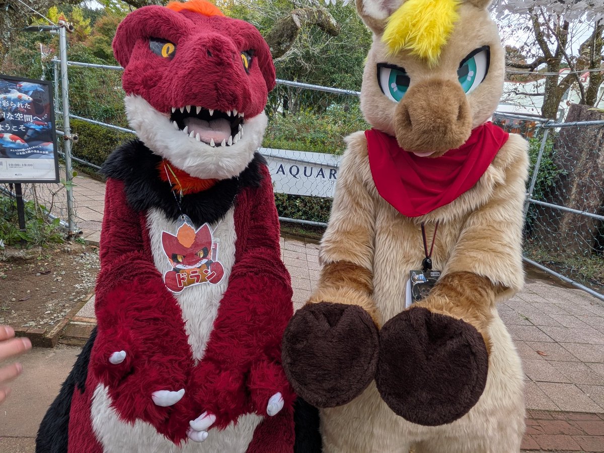 ぴよぴよ☆ おっち@ぴよぴよ (@otti0206) / Posts / X