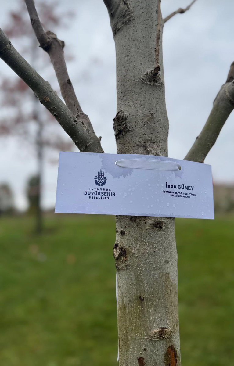 “Yani, öylesine ciddiye alacaksın ki yaşamayı, 
yetmişinde bile, mesela, zeytin dikeceksin,
hem de öyle çocuklara falan kalır diye değil, ölmekten korktuğun halde ölüme inanmadığın için,
yaşamak yanı ağır bastığından.” 

Milli Ağaçlandırma Günü’nde tutsak olan tüm yol