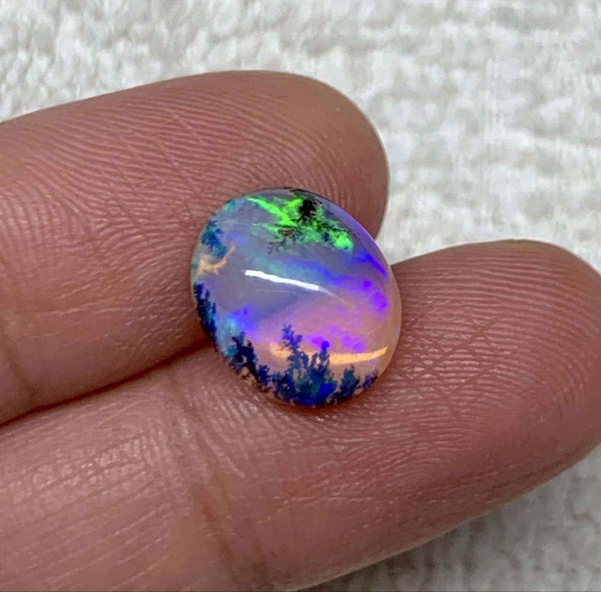 GemOpals's tweet photo. Rare Opal With Dendrites 😍
-
Really hard to fetch &amp; impossible to find a similar opal with these lovely Dendrites 😍
-
Dm for details! 
-
-
-
-
-
#dendriteopal #opal #weloopal #ethiopianopal #rareopal #opalgem #opalcabochon https://t.co/blsqx1tgU9