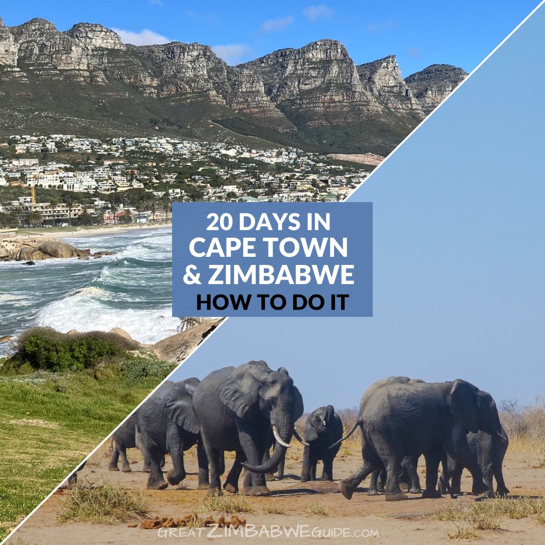 greatzimguide's tweet image. 20-day Cape Town and Zimbabwe holiday itinerary.
Here it is: the real-life low-down on our family holiday to Cape Town and Zimbabwe. We booked everything ourselves, and hired/borrowed vehicles in South Africa and Zimbabwe. greatzimbabweguide.com/20-cape-town-z…