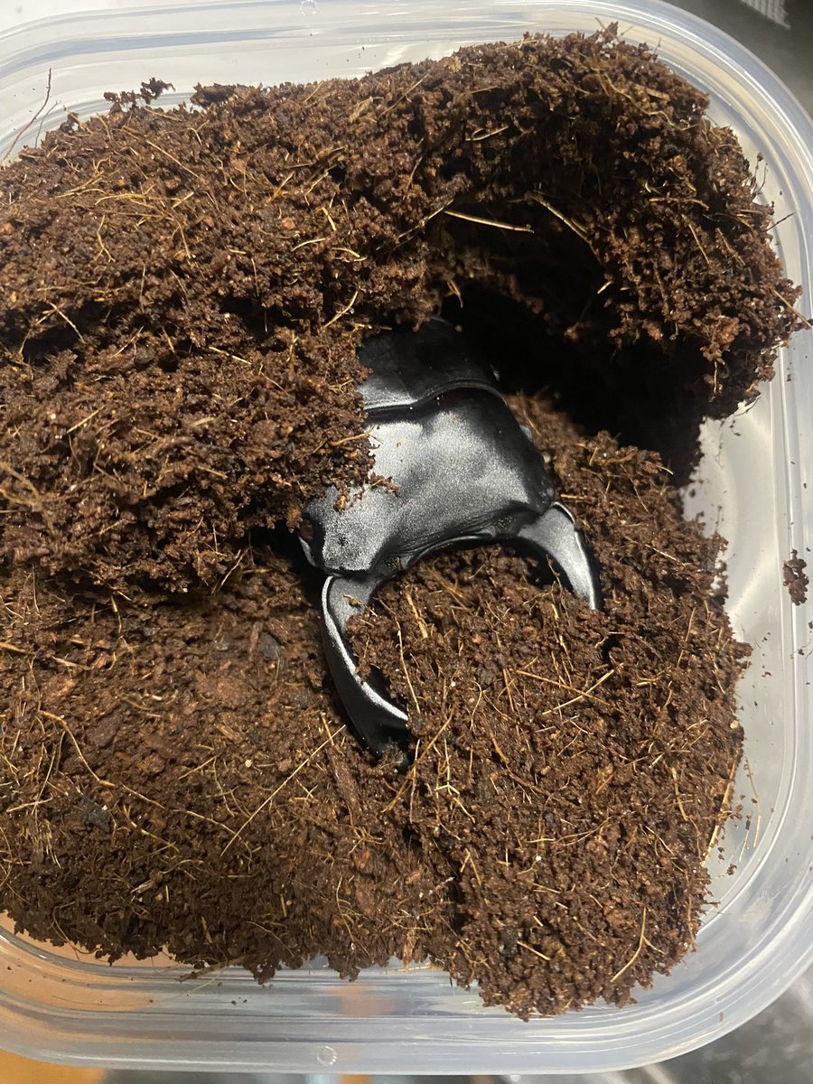 ☆Ma☆🪴 tweet media